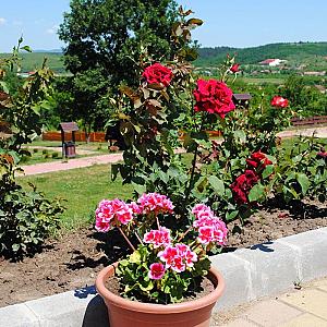 Rózsapark Vendégház Demjén