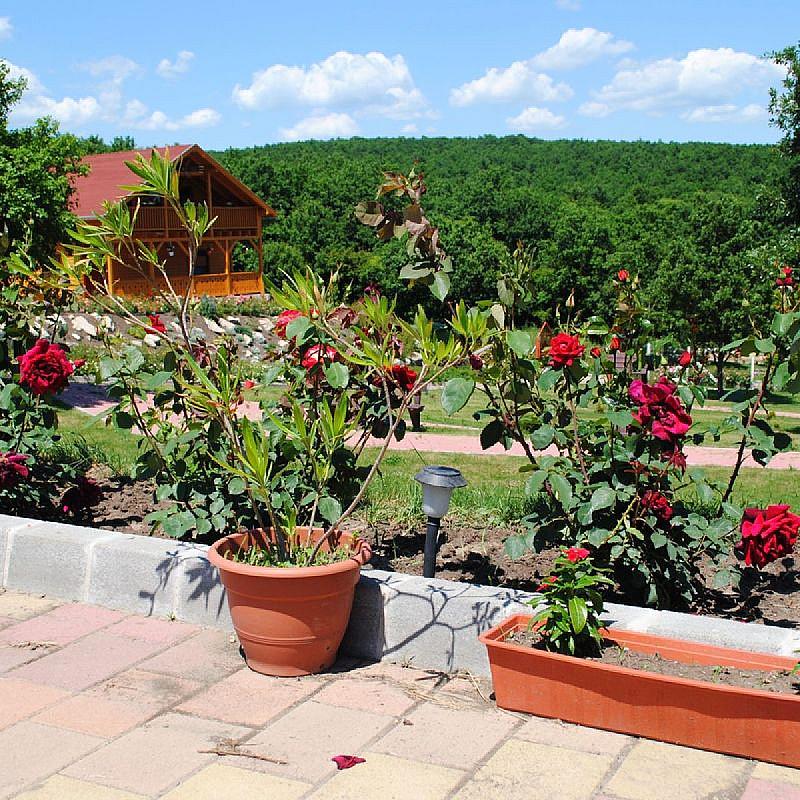 Rózsapark Vendégház Demjén