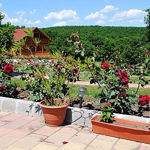 Rózsapark Vendégház Demjén