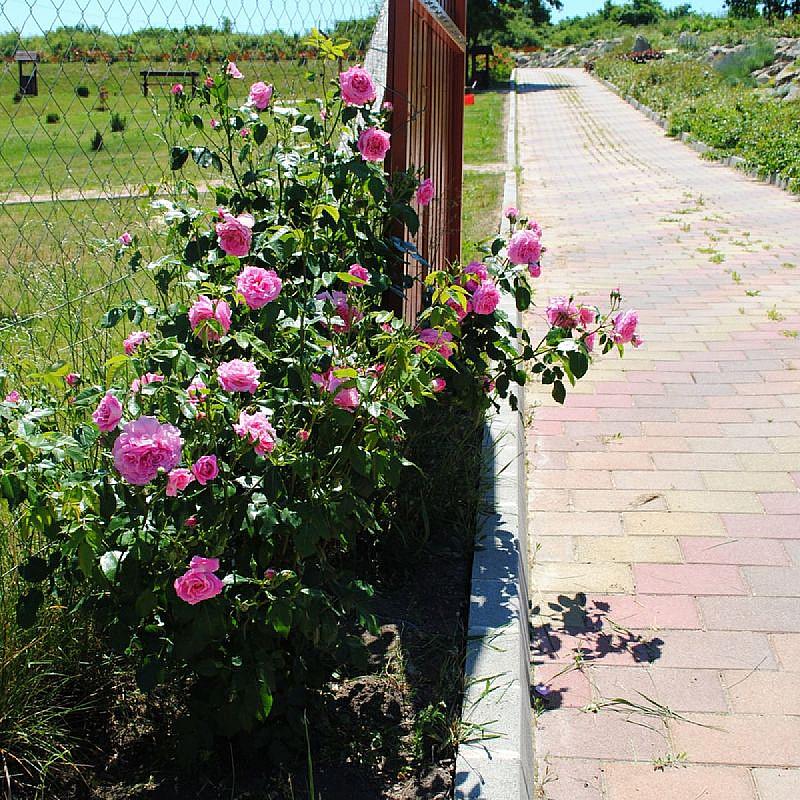 Rózsapark Vendégház Demjén