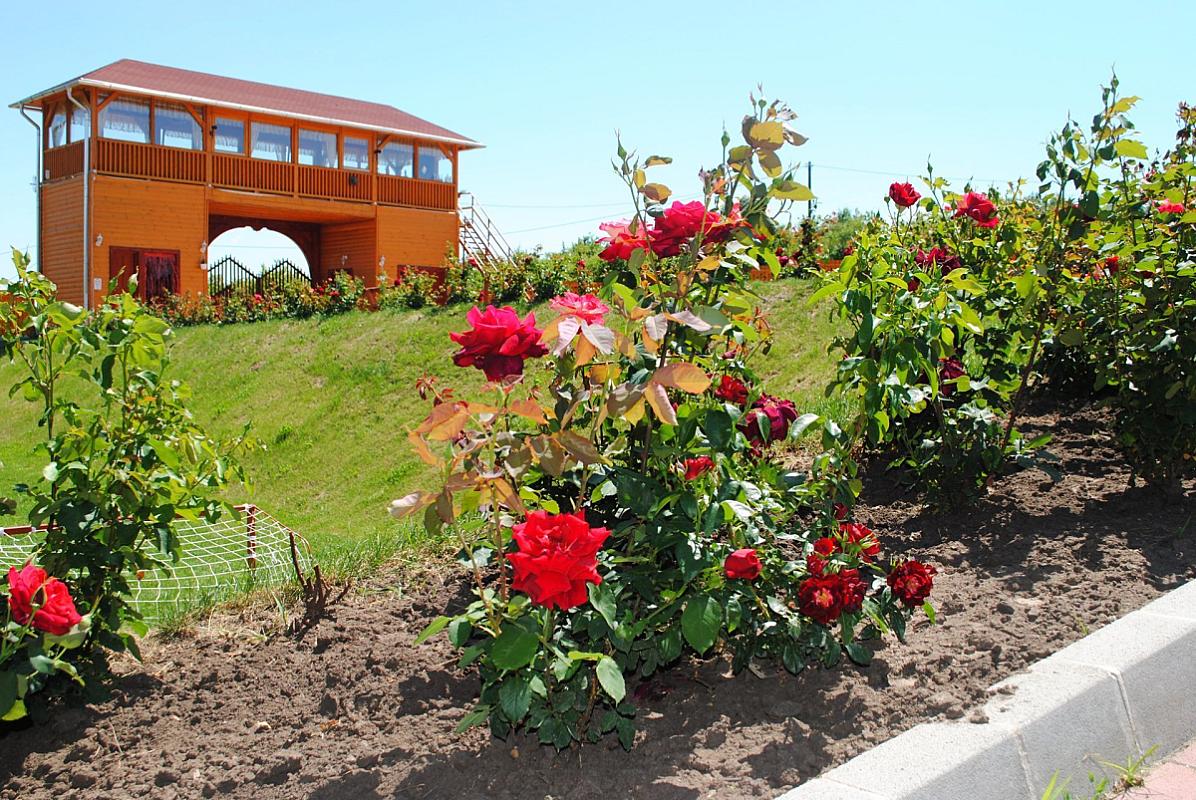 Rózsapark Vendégház Demjén