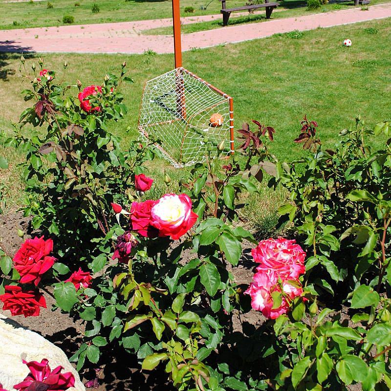 Rózsapark Vendégház Demjén