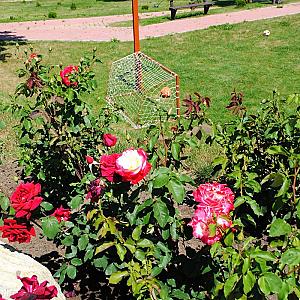 Rózsapark Vendégház Demjén