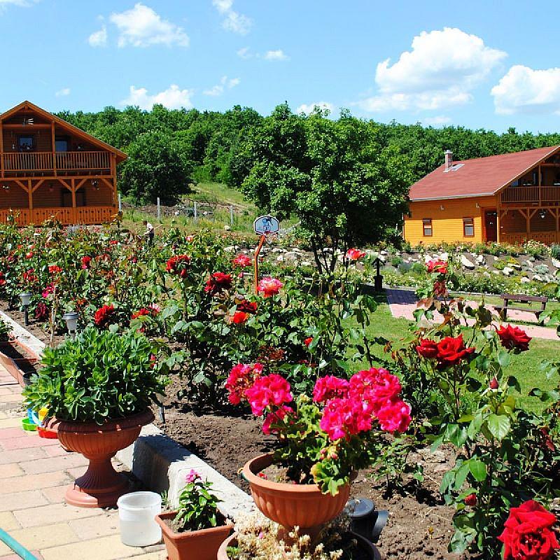 Rózsapark Vendégház Demjén