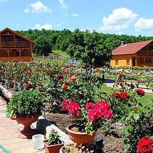 Rózsapark Vendégház Demjén