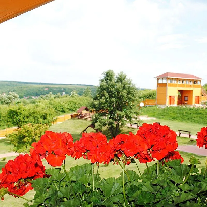 Rózsapark Vendégház Demjén