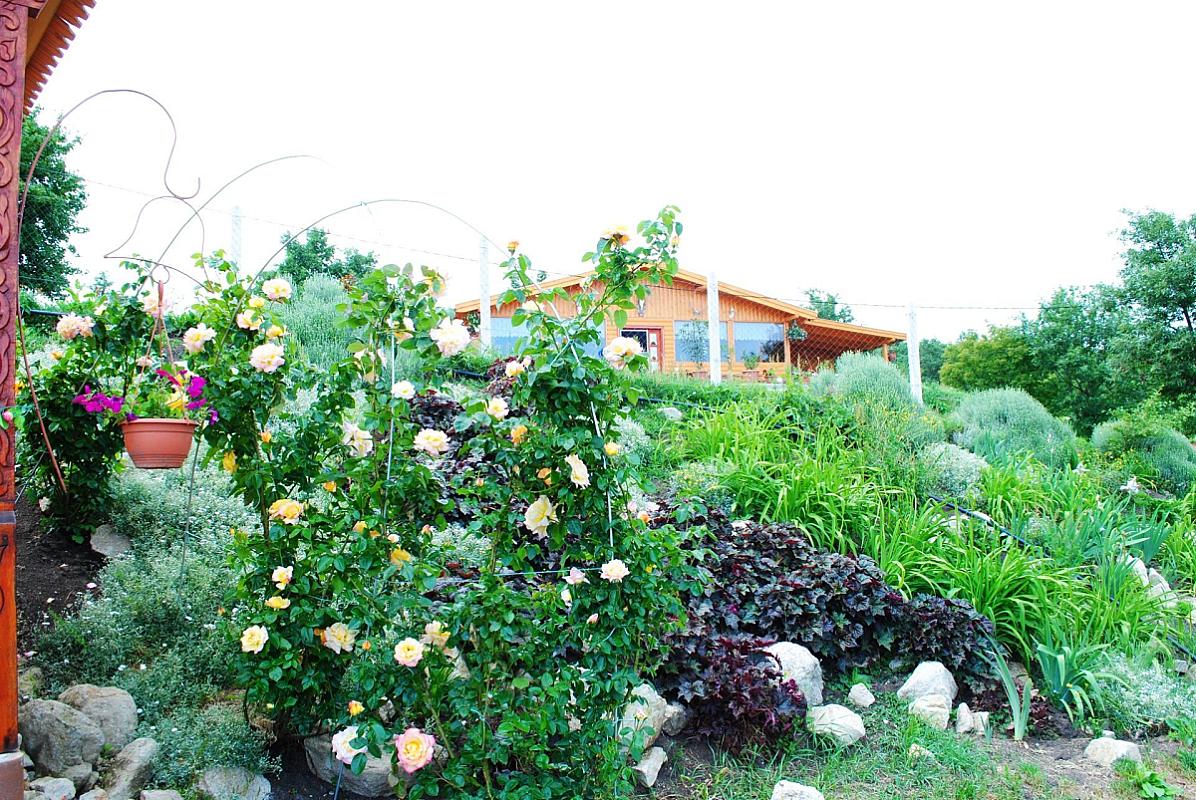 Rózsapark Vendégház Demjén