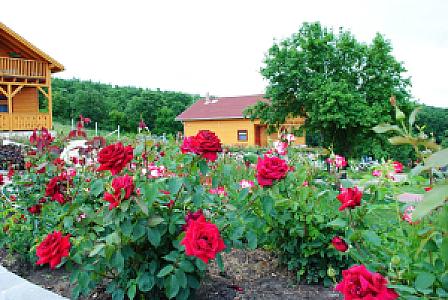 Rózsapark Vendégház Demjén