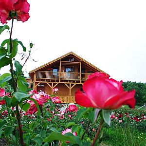 Rózsapark Vendégház Demjén