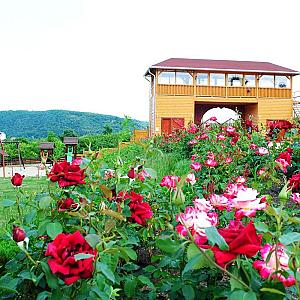 Rózsapark Vendégház Demjén