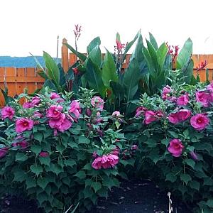 Rózsapark Vendégház Demjén