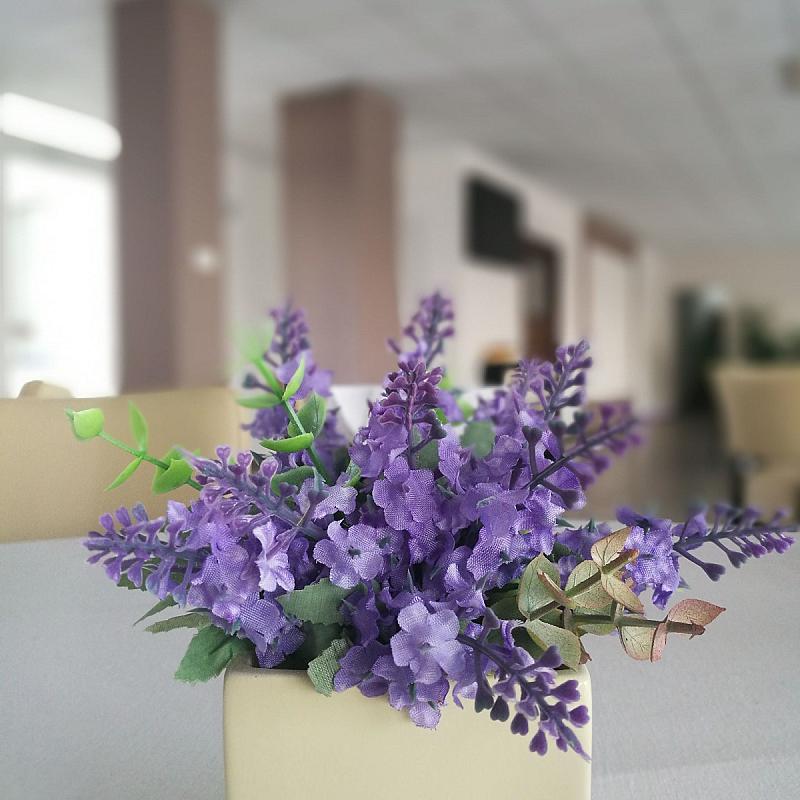Garden Hotel Medical&Spa Debrecen