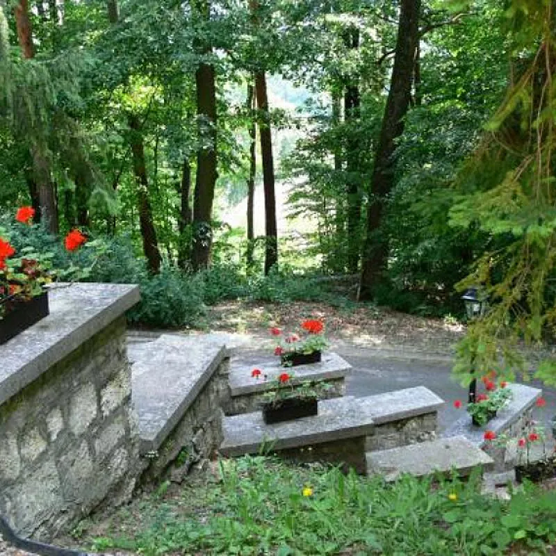 Ezüstfenyő Hotel