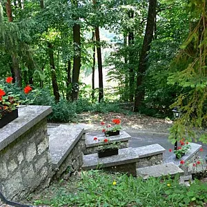 Ezüstfenyő Hotel