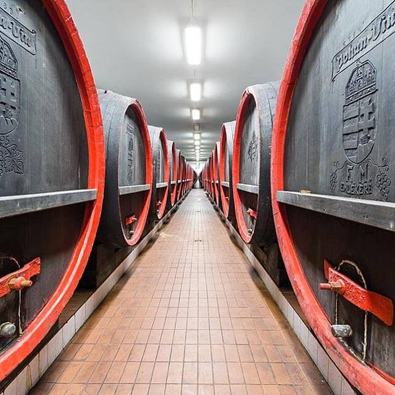 Vinum Wellness és Konferencia Hotel Kiskőrös