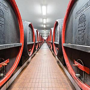 Vinum Wellness és Konferencia Hotel Kiskőrös