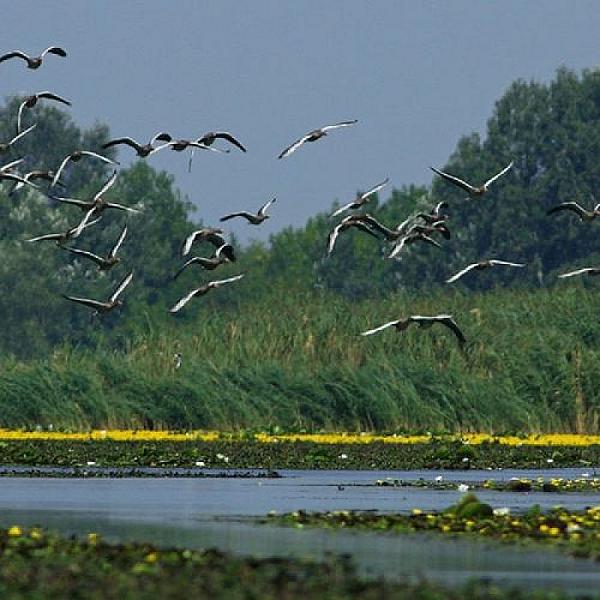 Herczeg Udvarház Poroszló