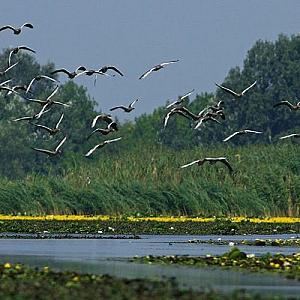 Herczeg Udvarház Poroszló