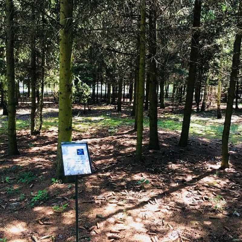 Násfa Boutique Hotel Feldebrő