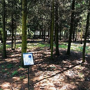 Násfa Boutique Hotel Feldebrő