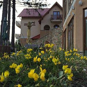 Selfness Hotel Vadvirág Mátraszentimre