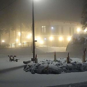 Selfness Hotel Vadvirág Mátraszentimre