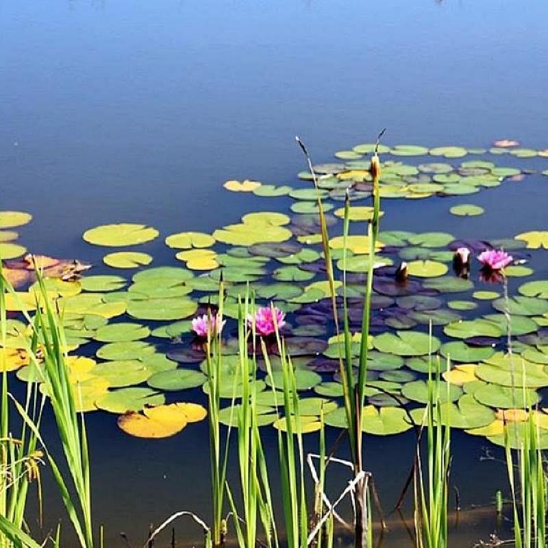Vörös Kastély Kastélyszálló Kunbaracs
