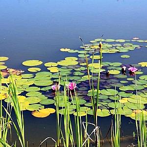 Vörös Kastély Kastélyszálló Kunbaracs
