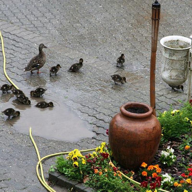 Waterfront Hotel Szentendre