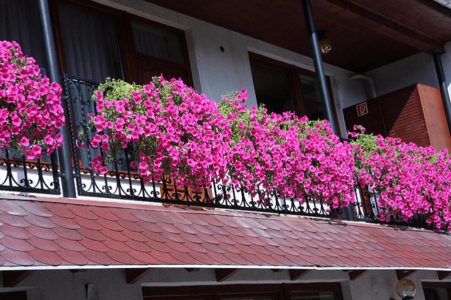 Rákóczi Szálloda Étterem és Kávézó Sárospatak