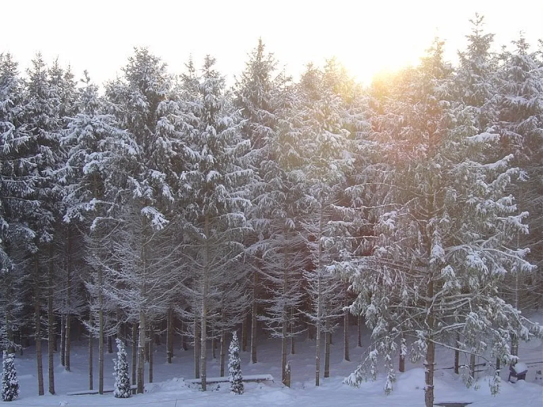 Gosztola Gyöngye Spa és Élményhotel Gosztola