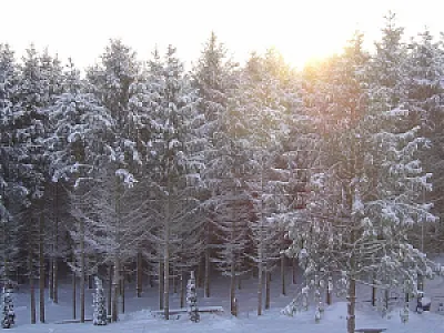 Gosztola Gyöngye Spa és Élményhotel Gosztola