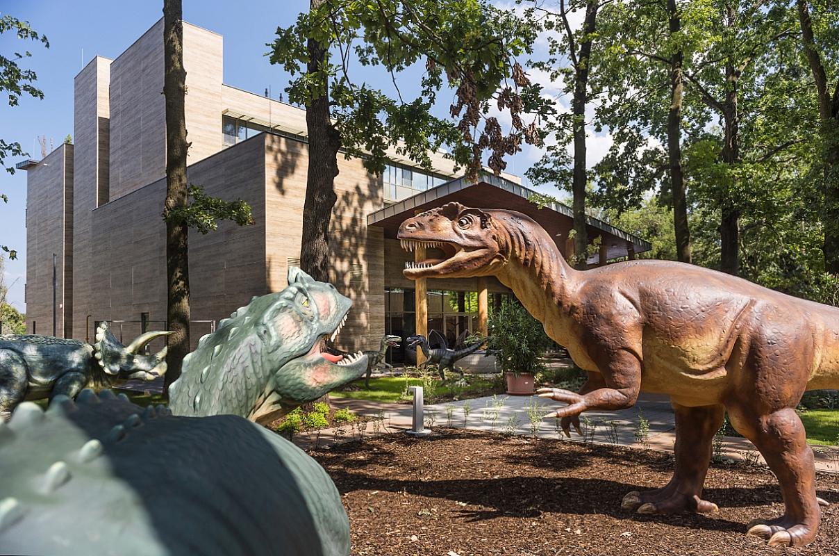 Pangea Hotel Nyíregyháza