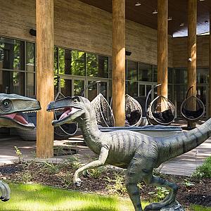 Pangea Hotel Nyíregyháza