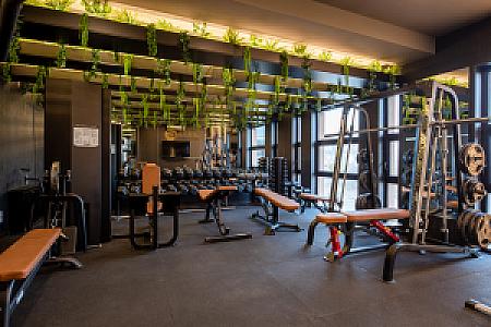 Hotel Bodrog Wellness Sárospatak