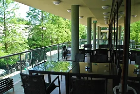 Wellness Hotel Gyula