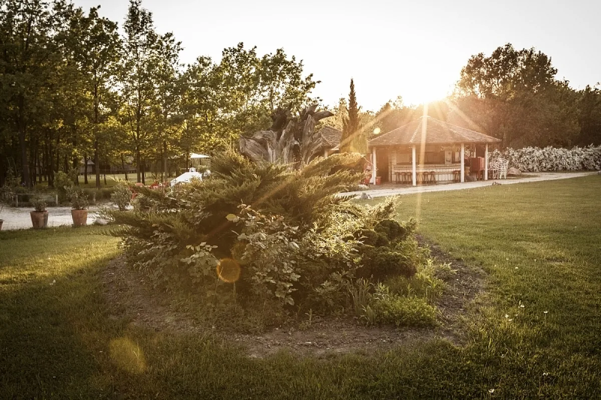 Achilles Park