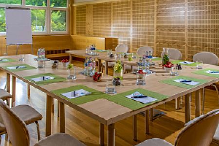 Dráva Hotel Thermal Resort