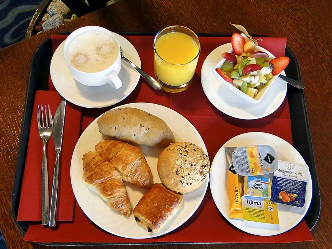 Novotel Budapest Danube Hotel