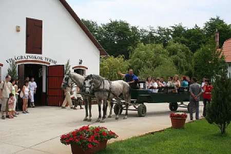 Lázár Lovaspark