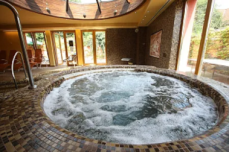 Laroba Wellness Hotel