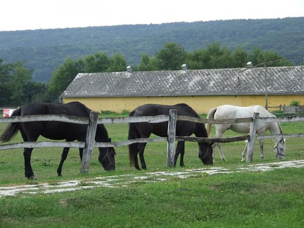 Sokoró Fogadó