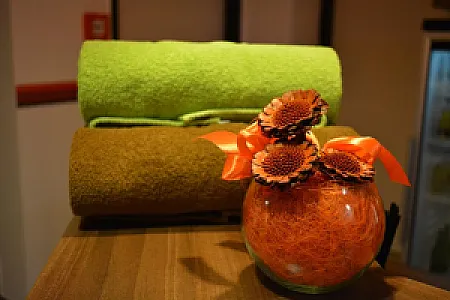 Hotel Opál