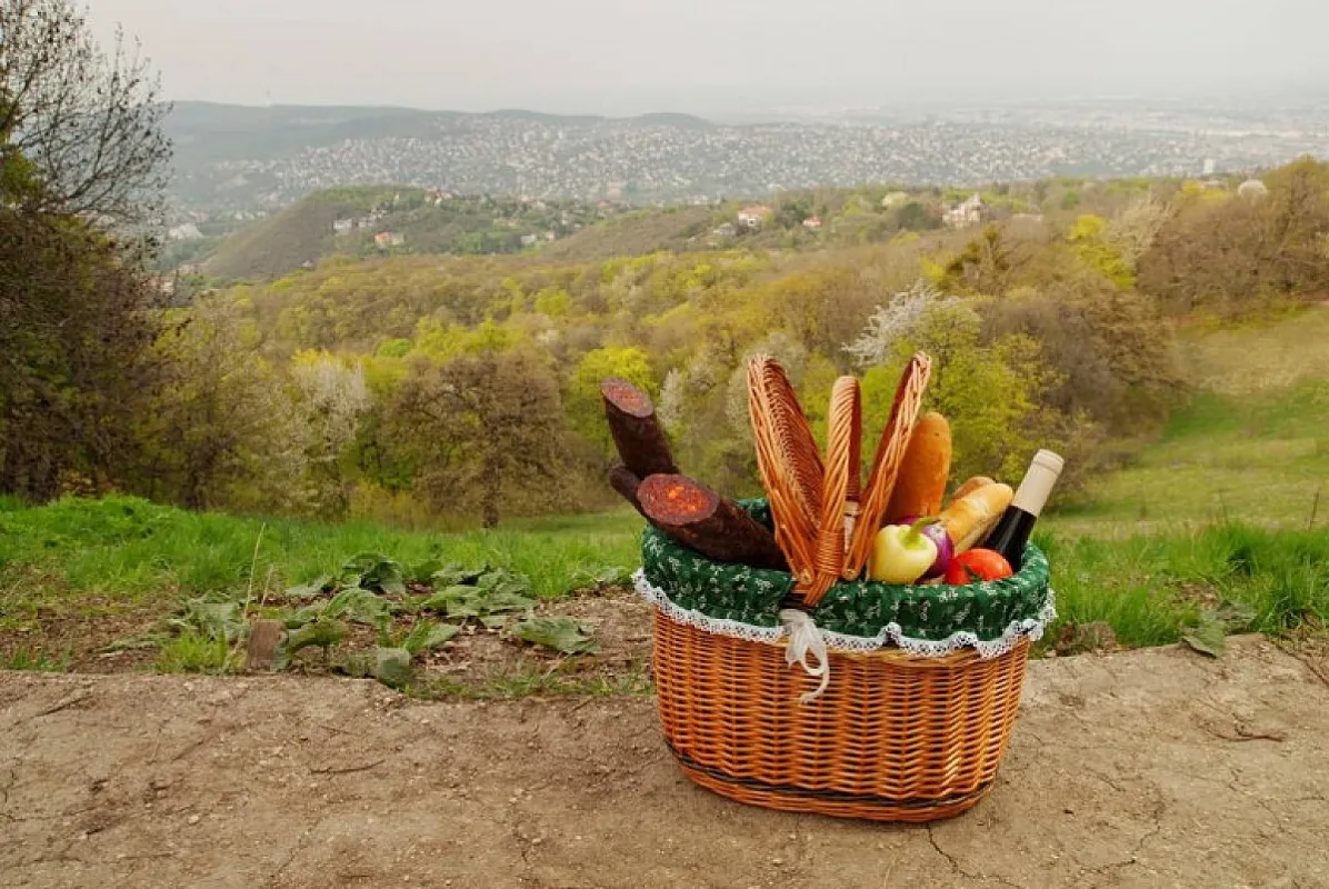 Somogy Kertje Üdülőfalu