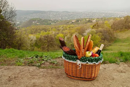 Somogy Kertje Üdülőfalu