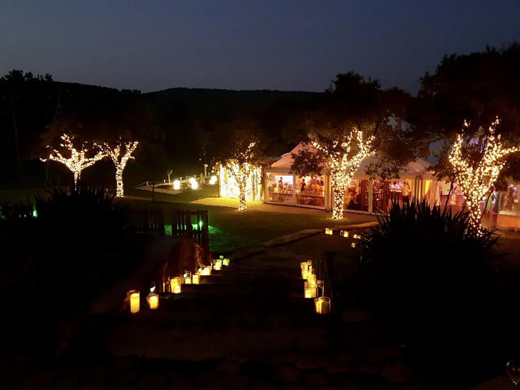 WeddingWood