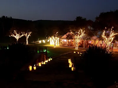 WeddingWood