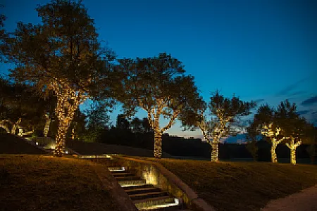 WeddingWood