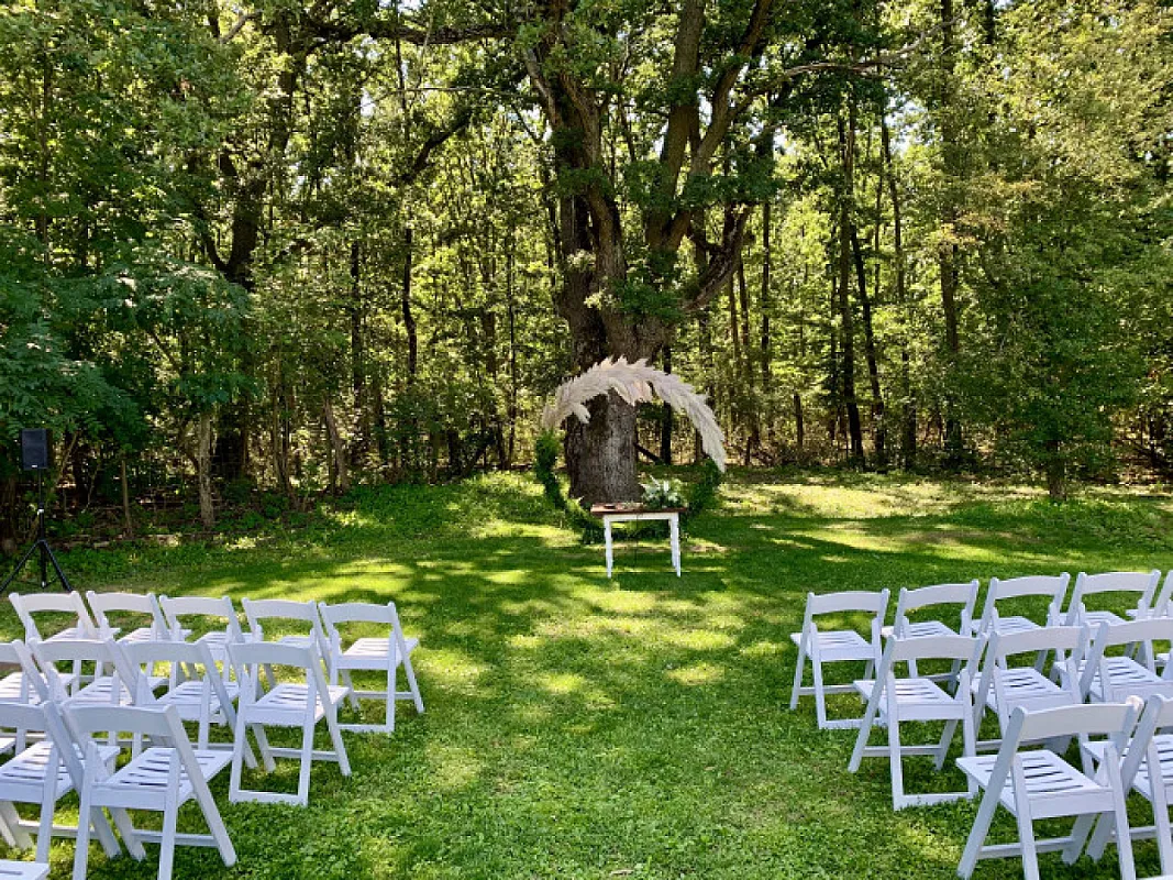 WeddingWood