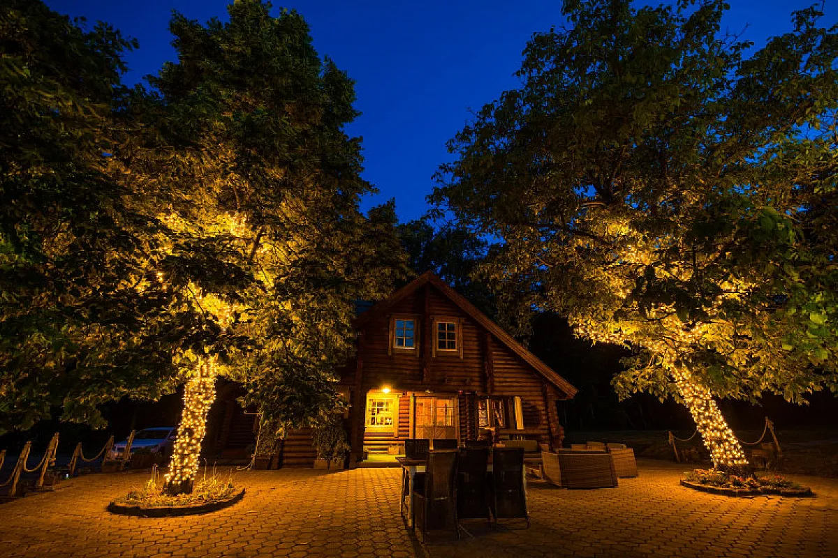 WeddingWood